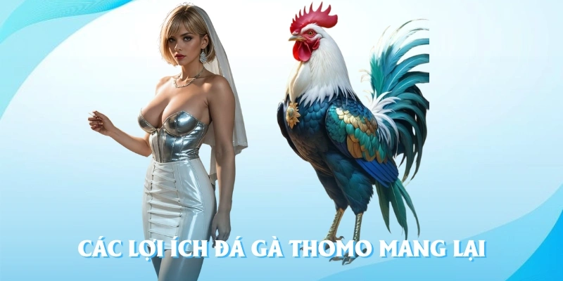 Các lợi ích đá gà thomo mang lại cho hội viên tham gia